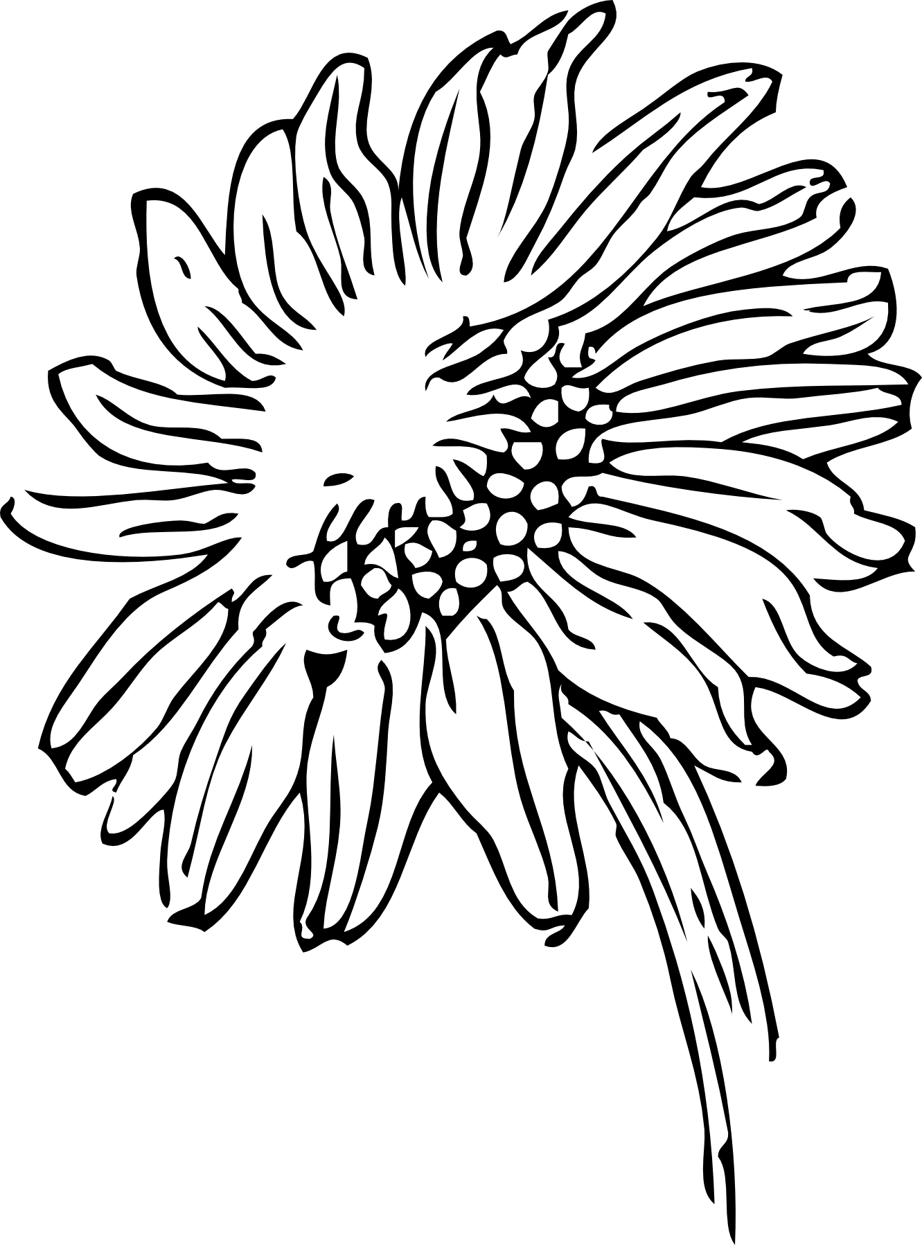 1331x1797 Latest Black And White Sunflower Tattoo