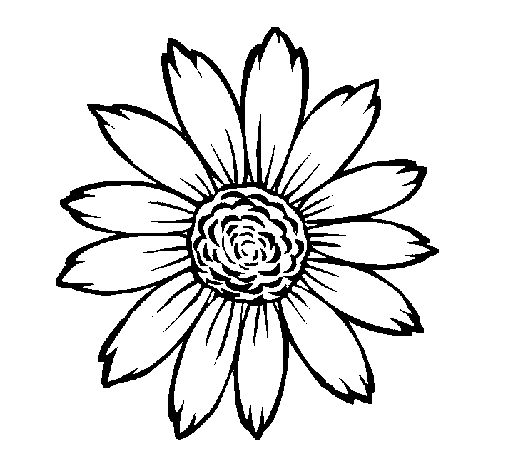 505x470 Simple Sunflower Drawing Tattoo