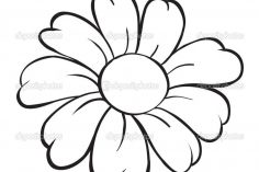 236x157 Sunflower Drawing Black And White Pencil Flower Images Vine