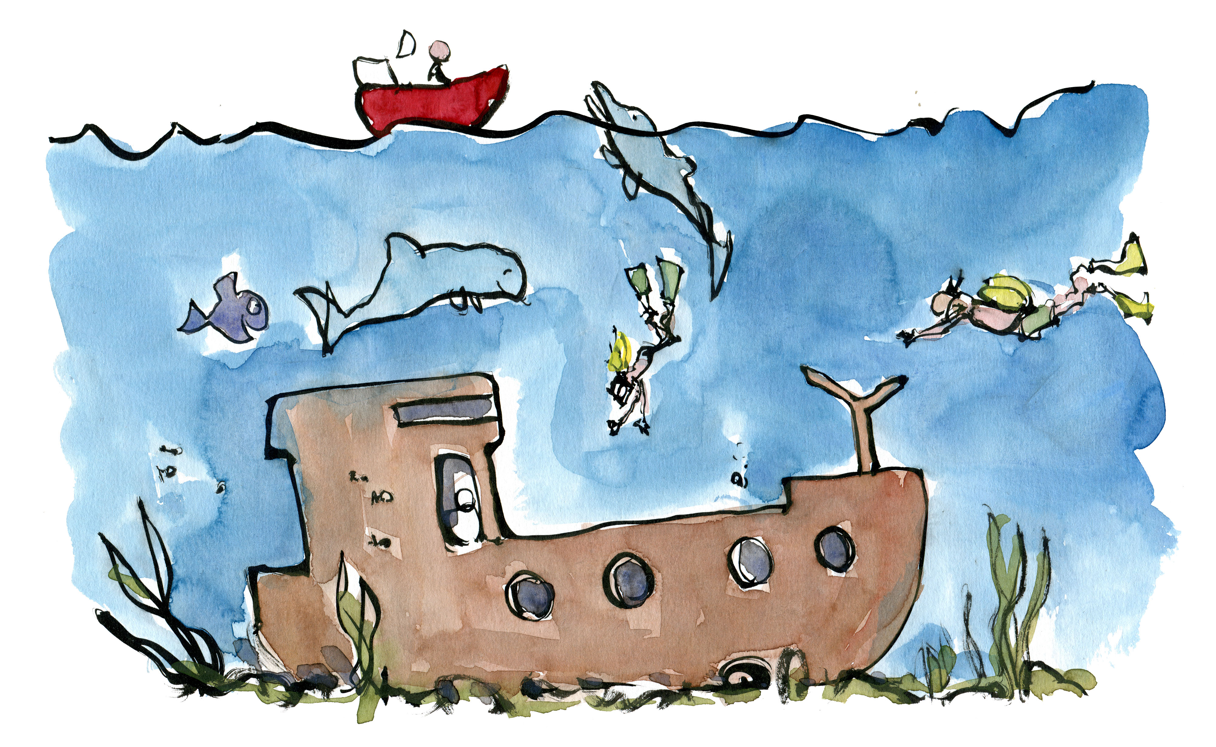 4000x2457 coastal attraction below the water reportage illustrations