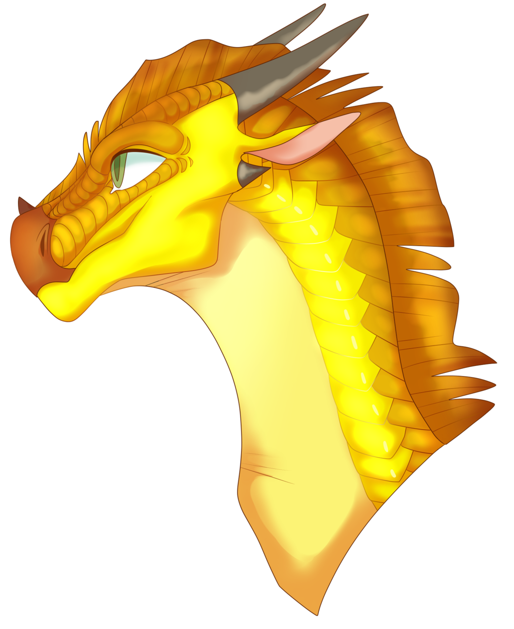 1024x1253 H A D Sunny