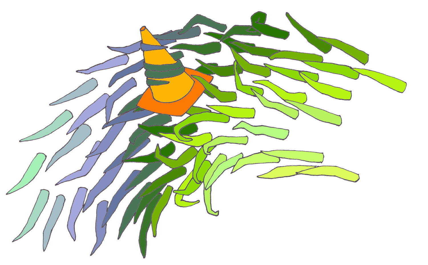 1500x931 Sunny Nestler Discorder Magazine Citr