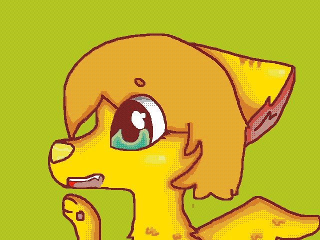 640x480 Sunny Drawing