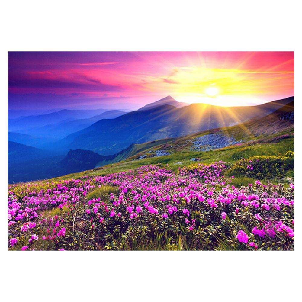 1000x1000 Diamond Painting Kits Full Round Drill Flower Sunrise