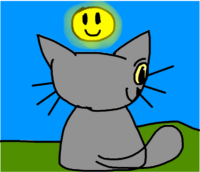 800x689 Frame Maker Tynker