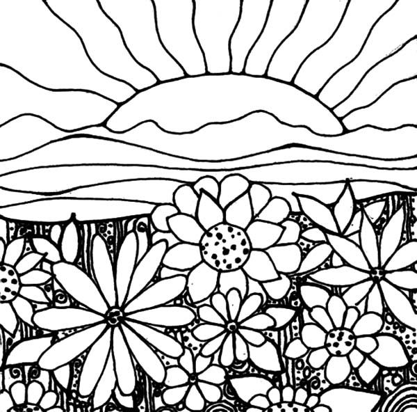 600x592 Sunrise Clipart Coloring