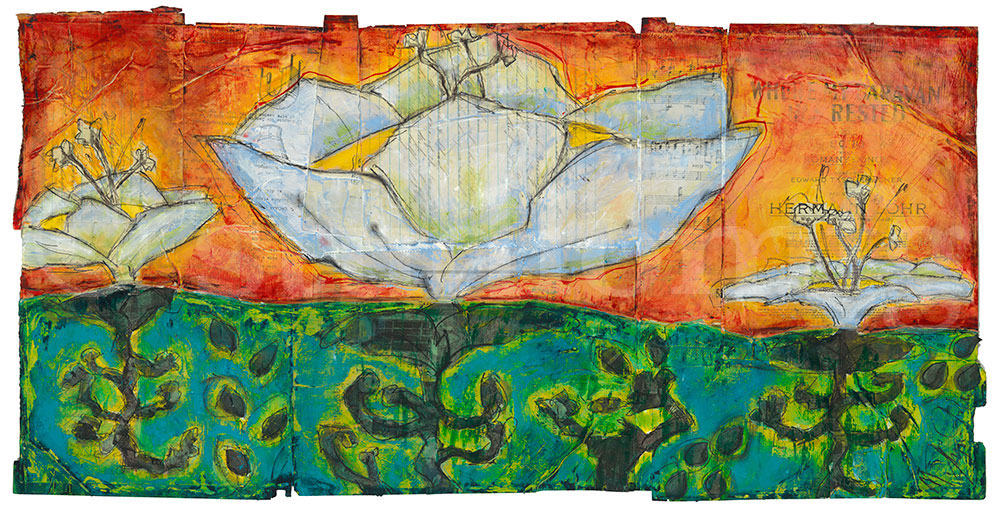 1000x514 Images Botanicals Studio Mfg Llc Fine Art