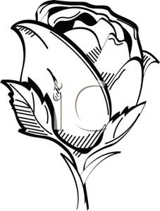 227x300 Sunset Clipart Black And White