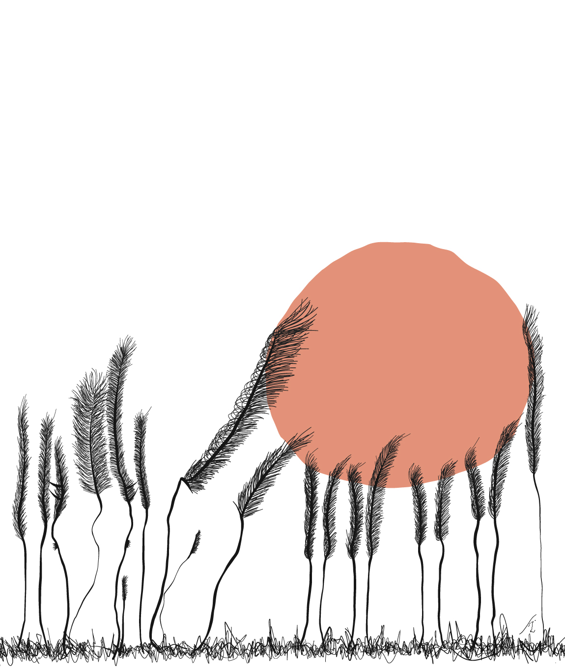 1150x1366 Sunset Pampas On Behance