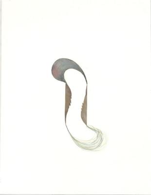 310x400 Kentler International Drawing Space Search Flatfile Artworks