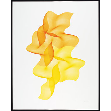 355x355 Cyberflower, Sunshine Version I Verostko, Roman Vampa Search