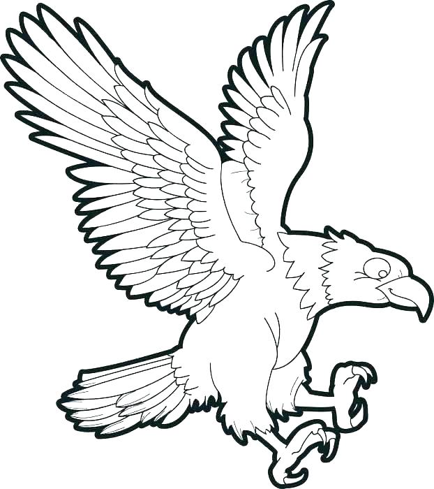 622x700 Eagle Coloring Pages Coloring Pages Of Eagles Bald Eagle Color
