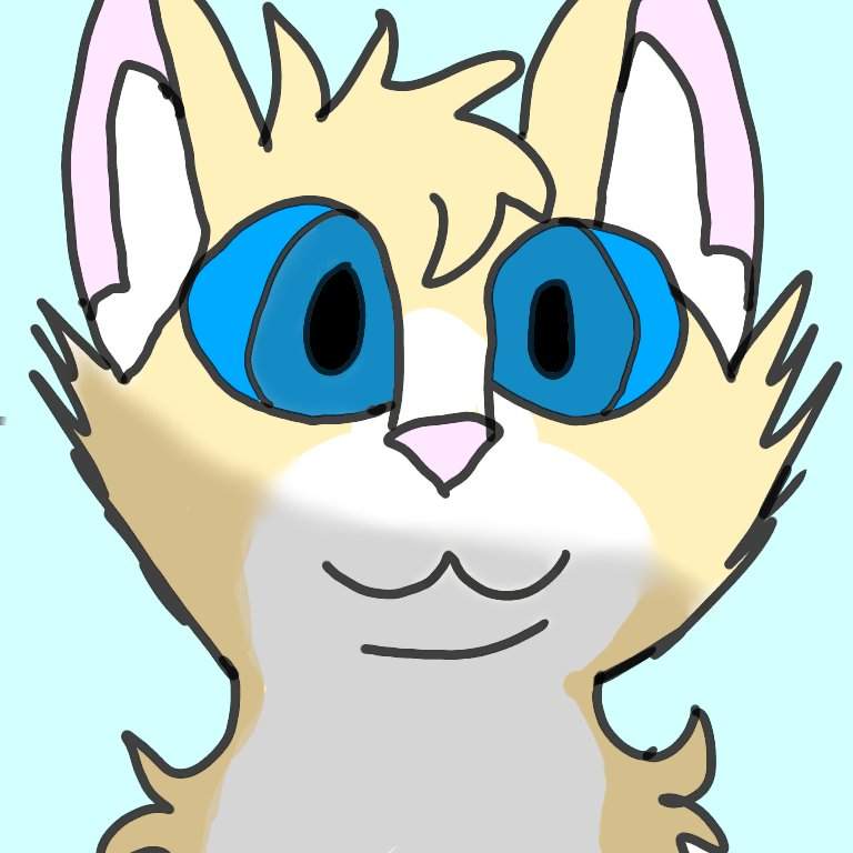 768x768 Lionstar + New Eye Style Warriors Art Amino