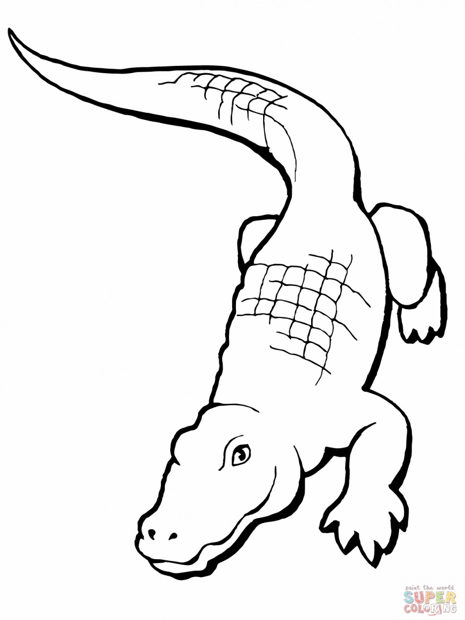 940x1253 Realistic Crocodile Drawing