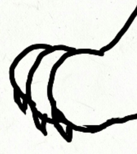 457x512 Another Drawing Warriors Amino