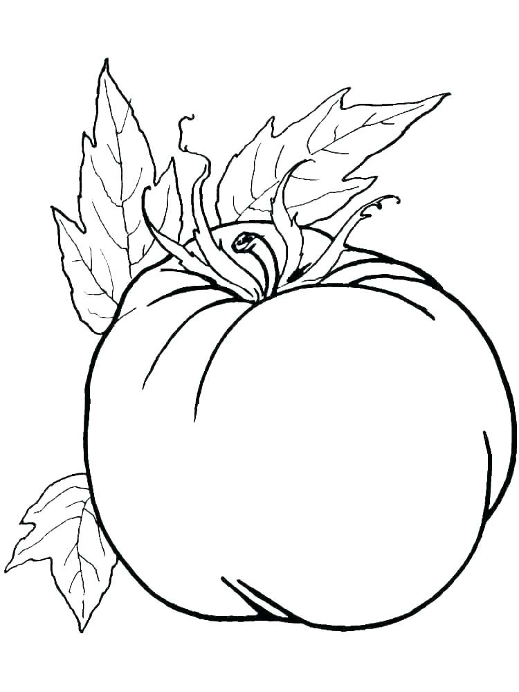 750x1000 Vegeta Coloring Pages Dragon Vegeta Super Saiyan Coloring Pages