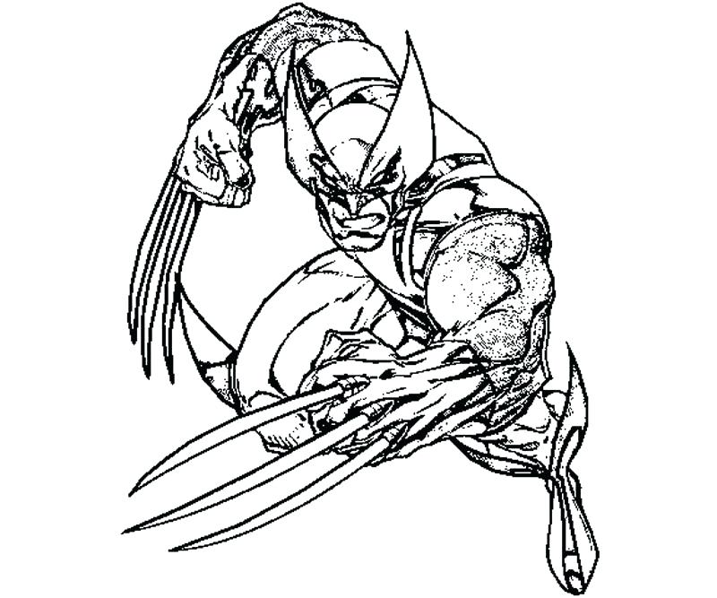 800x667 Coloring Pages Wolverine