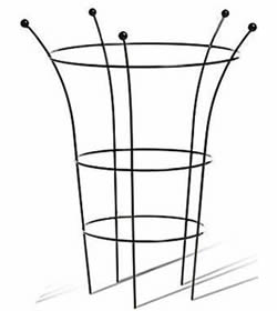 250x280 Peony Support Rings