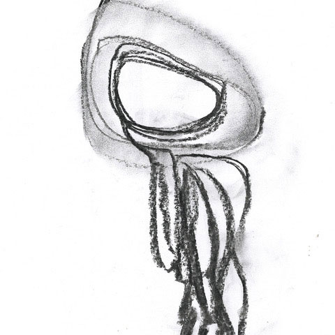 480x480 Testimonials Drawing Life