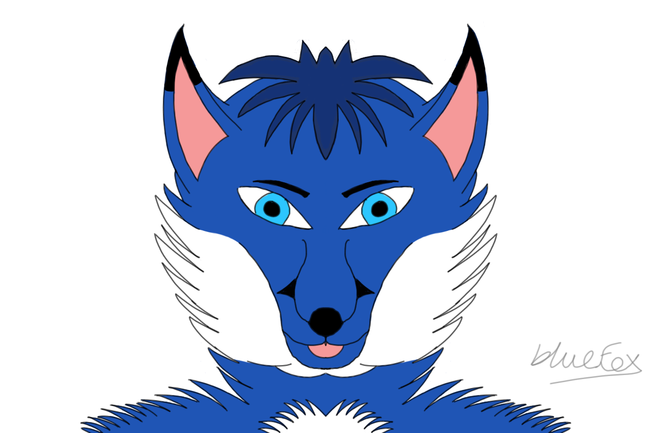 1280x853 Surface Pro Bluefox Drawing