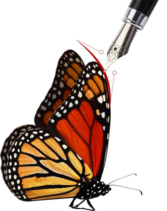 551x696 Aphalina Designer