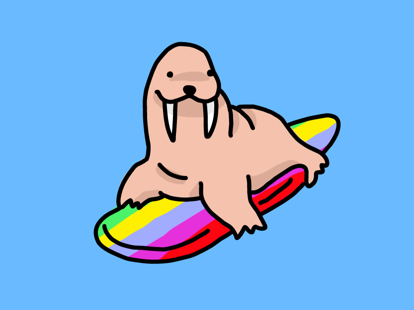 833x625 Walrus On Surfboard