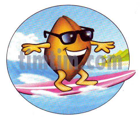 486x417 Free Drawing Of A Surf Nut From The Category Sports