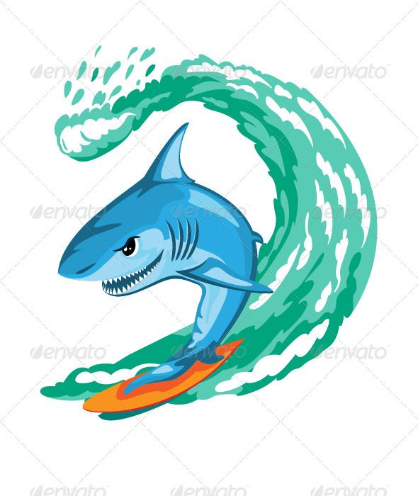590x700 Cartoon Shark Surfer Graffiti Pieces Shark, Surf Drawing