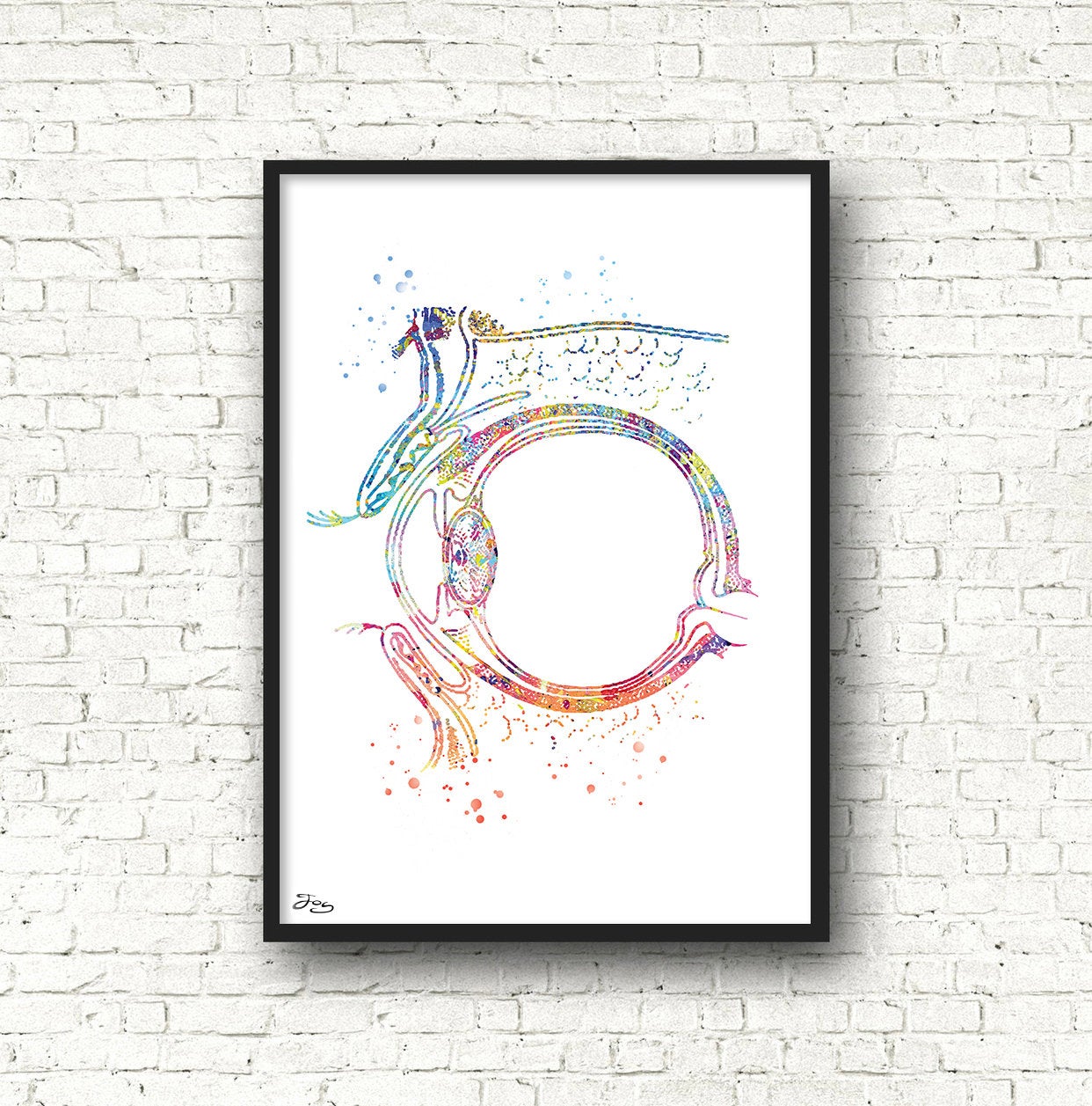 1242x1257 Eye Drawing Illustration Medical Art Drawing Ophthalmology Etsy