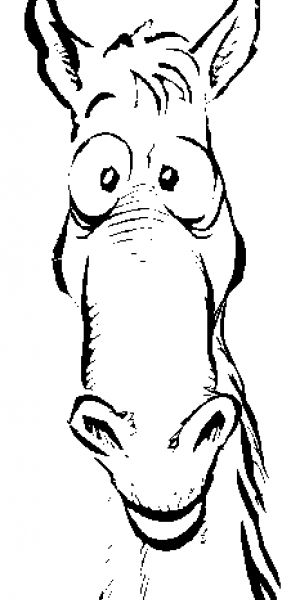 300x600 Surprise, Horses Don't Like The Ice Bucket Challenge! Rocks