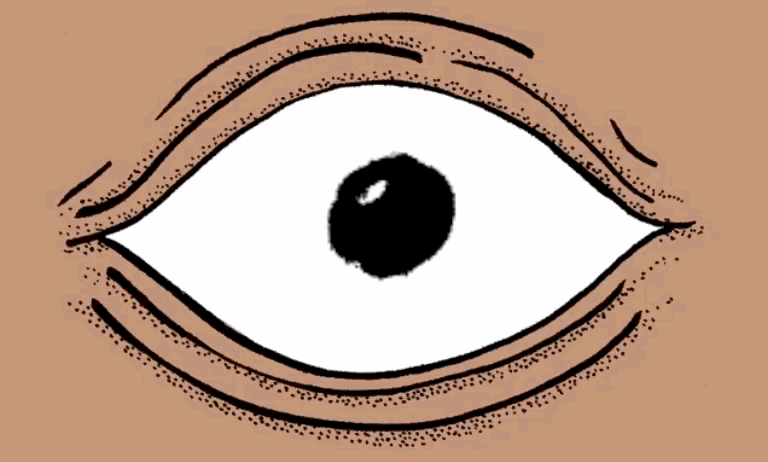 768x462 the north! the north! christopher harrisson