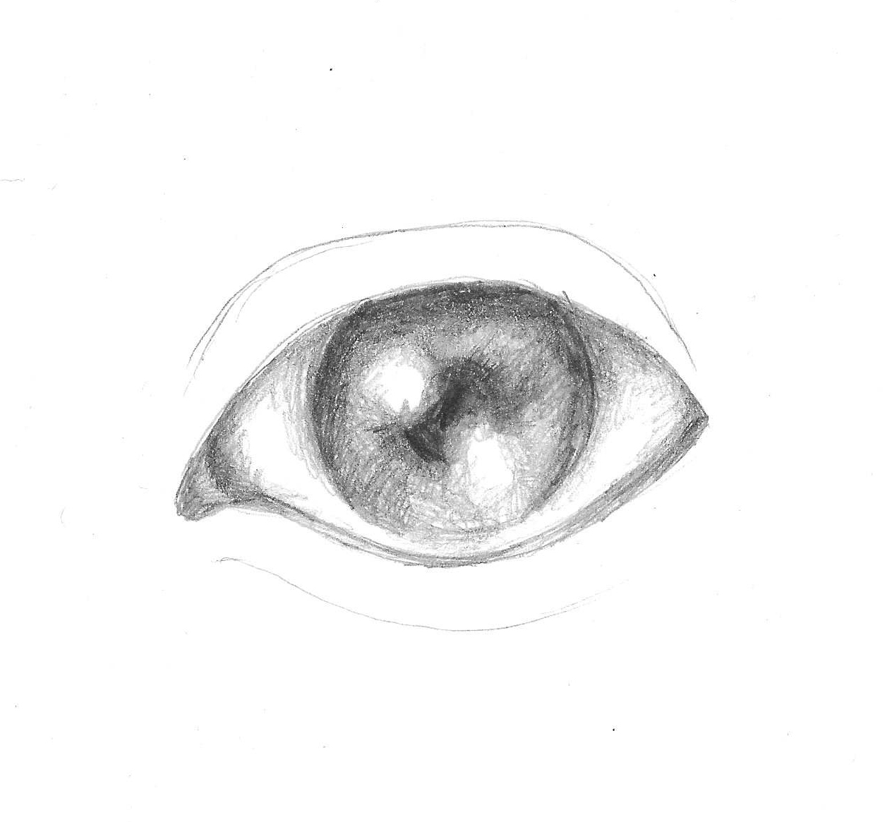 Surreal Eye Drawing | Free download on ClipArtMag