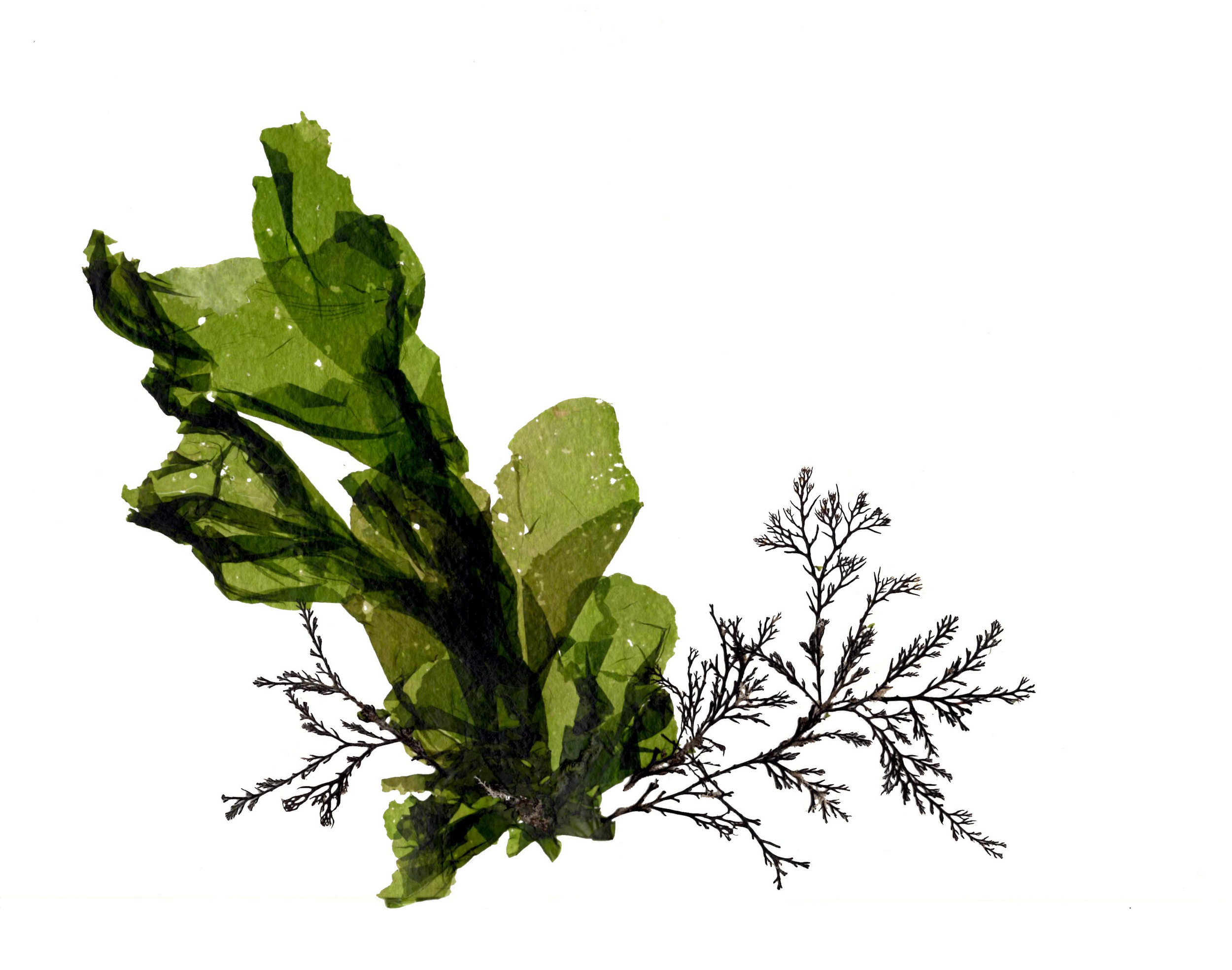 2500x1969 Get Surreal! Red Bike Studio