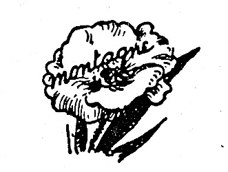 331x250 Poetry Is A Pipe Selected Writings Of Magritte Literary Hub