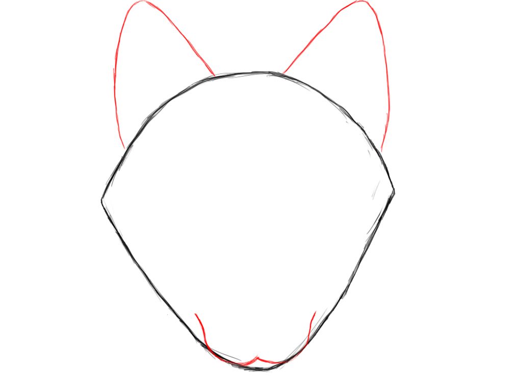 1024x768 How To Draw A Wolf Step