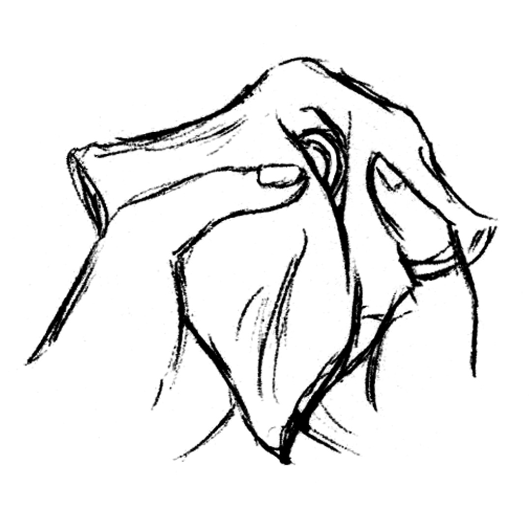 1080x1080 Jewelry Care