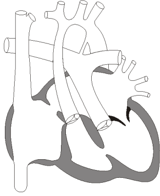 328x400 Province Of Mb The Pcsir