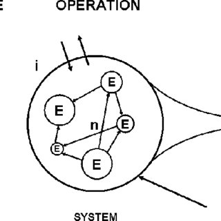 320x320 Schematic Drawing Showing An Integron Considered As A Systemic