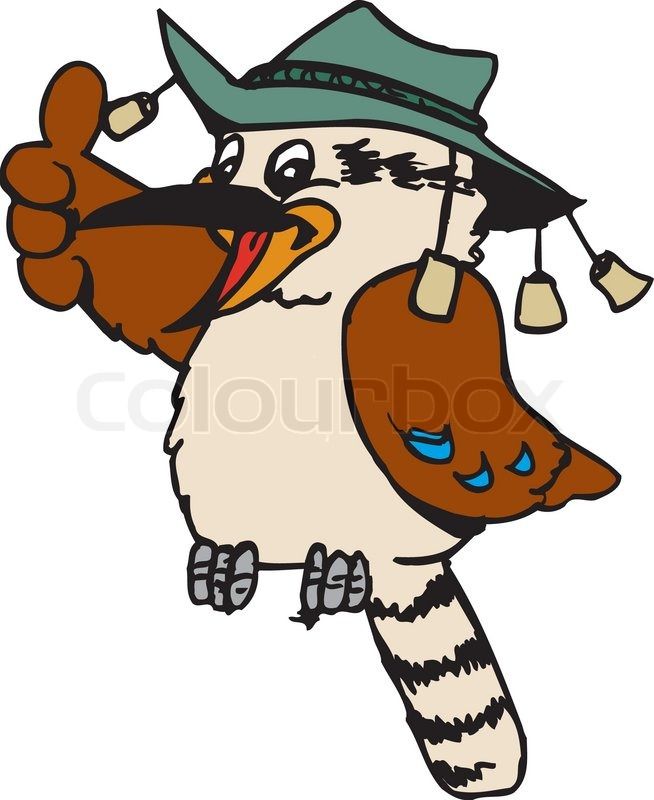 654x800 stock vector of 'cartoon kookaburra wearing swag hat giving thumbs