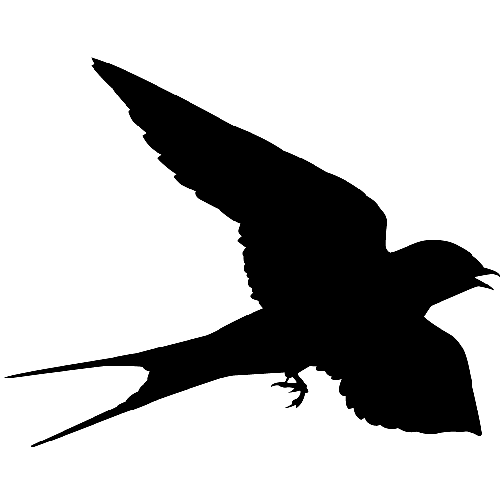 1024x1024 Collection Of Free Swallow Drawing In Flight Download On Ui Ex