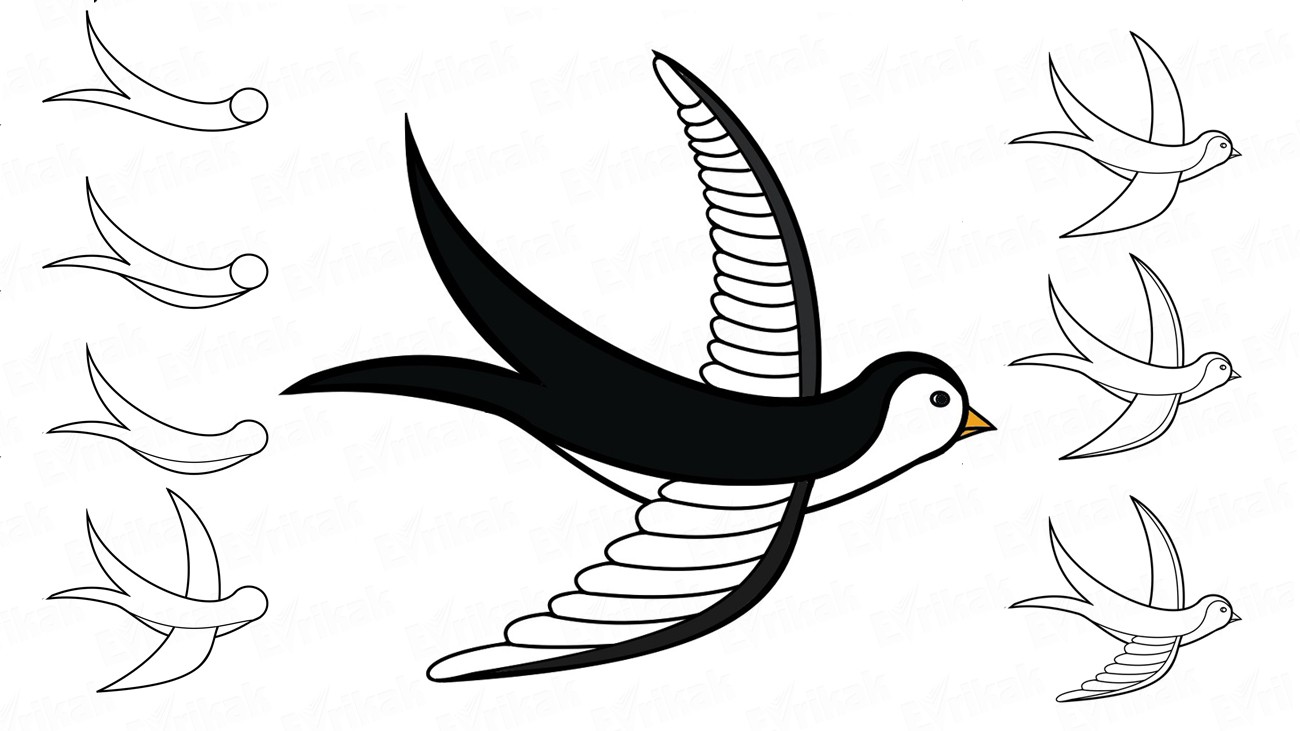 1300x731 How To Draw A Swallow In A Flight For Children In Stages
