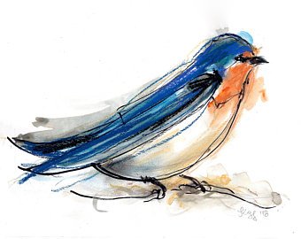 340x270 Swallow Bird Drawing Etsy