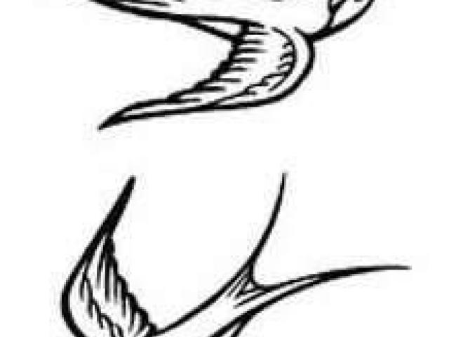 640x480 Drawn Swallow Free Clip Art Stock Illustrations