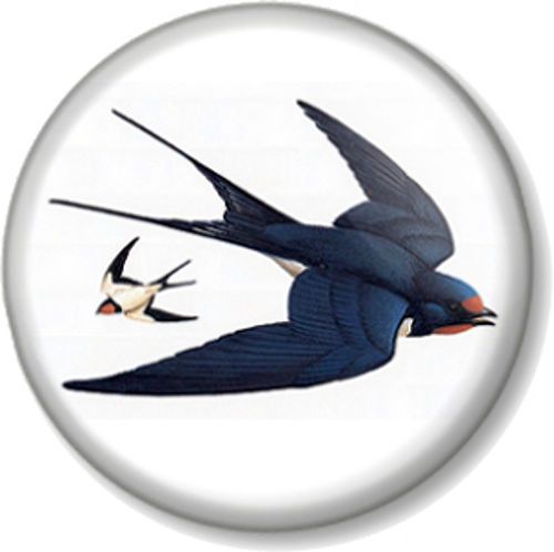500x498 Swallow Birds Pinback Button Badge Tattoo Rockabilly Emo
