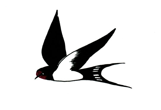 540x370 Swallow