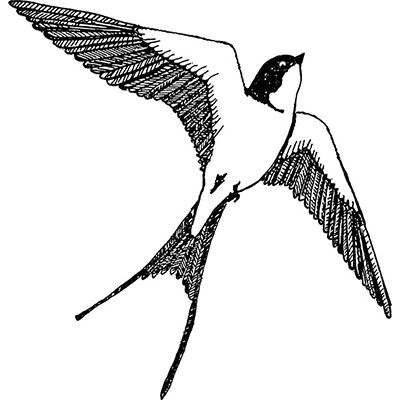 400x400 The English Stamp Company Swallow Right