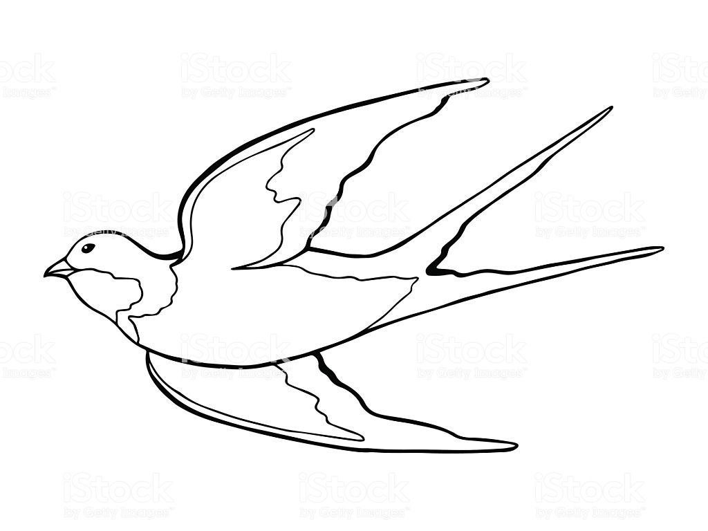 1024x768 Constantine Primary School Bird And Butterfly Templates