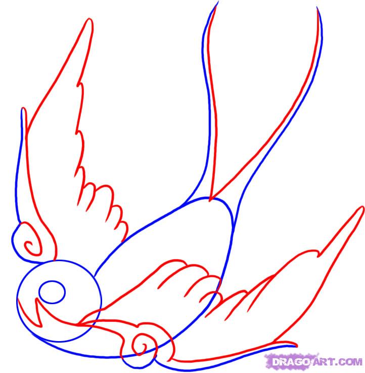 722x737 Draw A Swallow, Step