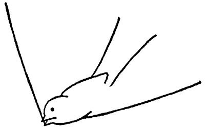 400x247 How To Draw Birds Swallows With Easy Step