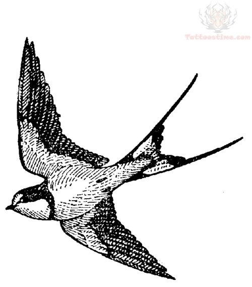500x569 Shaded Swallow Tattoo Design